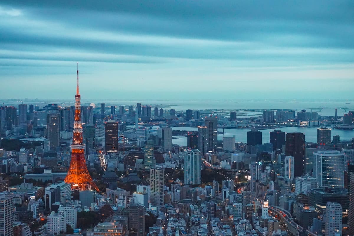 Tokyo and its illuminated tower at dusk